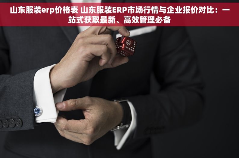 山东服装erp价格表 山东服装ERP市场行情与企业报价对比：一站式获取最新、高效管理必备