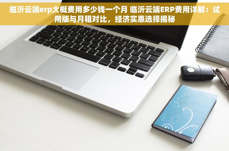 临沂云端erp大概费用多少钱一个月 临沂云端ERP费用详解：试用版与月租对比，经济实惠选择揭秘