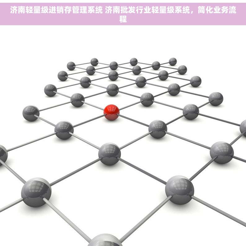 济南轻量级进销存管理系统 济南批发行业轻量级系统，简化业务流程