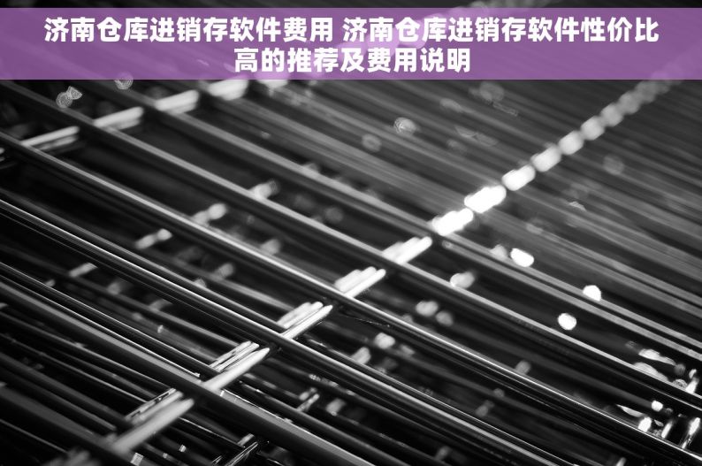 济南仓库进销存软件费用 济南仓库进销存软件性价比高的推荐及费用说明