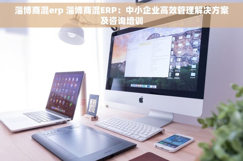 淄博商混erp 淄博商混ERP：中小企业高效管理解决方案及咨询培训