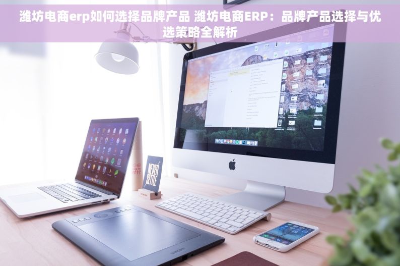 潍坊电商erp如何选择品牌产品 潍坊电商ERP：品牌产品选择与优选策略全解析