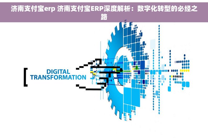 济南支付宝erp 济南支付宝ERP深度解析：数字化转型的必经之路