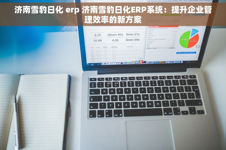 济南雪豹日化 erp 济南雪豹日化ERP系统：提升企业管理效率的新方案