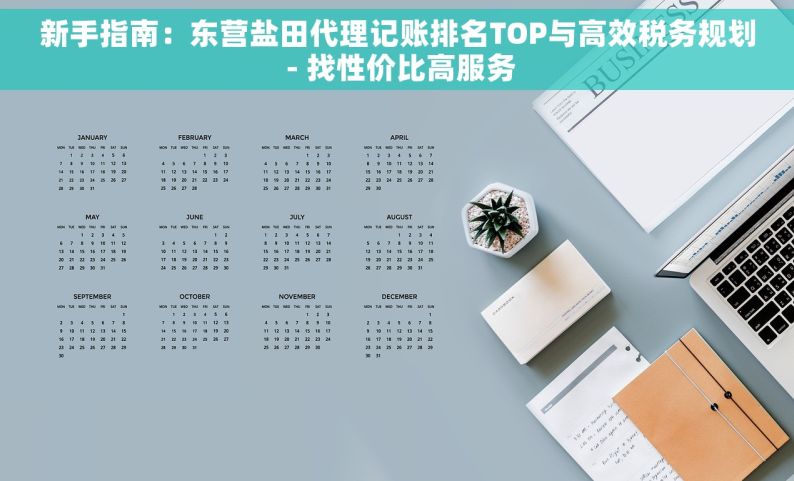 新手指南：东营盐田代理记账排名TOP与高效税务规划 - 找性价比高服务