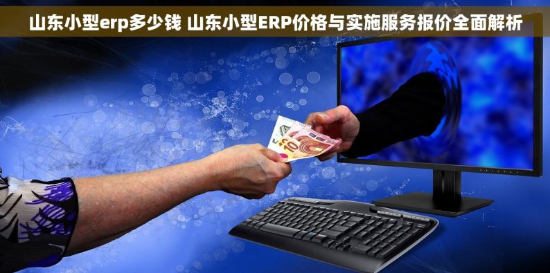 山东小型erp多少钱 山东小型ERP价格与实施服务报价全面解析