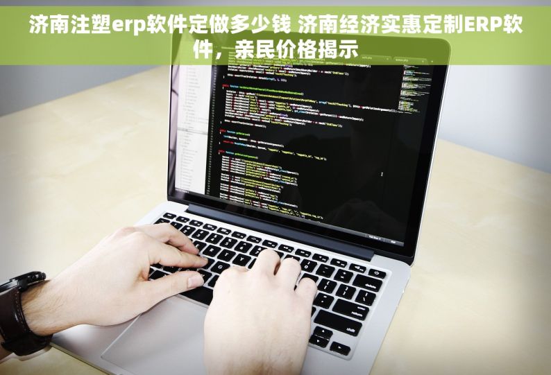 济南注塑erp软件定做多少钱 济南经济实惠定制ERP软件，亲民价格揭示