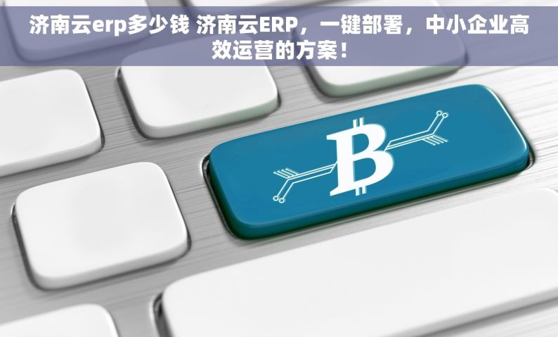 济南云erp多少钱 济南云ERP，一键部署，中小企业高效运营的方案！