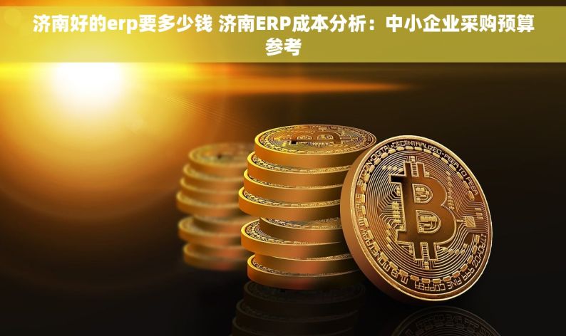 济南好的erp要多少钱 济南ERP成本分析：中小企业采购预算参考