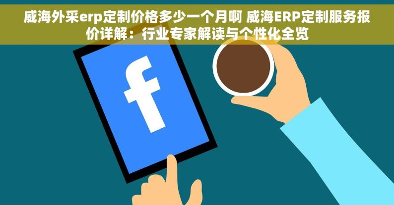 威海外采erp定制价格多少一个月啊 威海ERP定制服务报价详解：行业专家解读与个性化全览