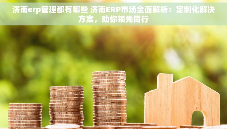 济南erp管理都有哪些 济南ERP市场全面解析：定制化解决方案，助你领先同行