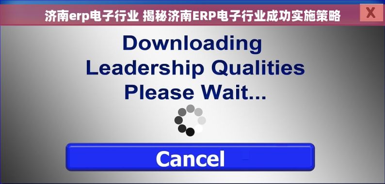 济南erp电子行业 揭秘济南ERP电子行业成功实施策略