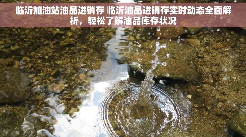 临沂加油站油品进销存 临沂油品进销存实时动态全面解析，轻松了解油品库存状况