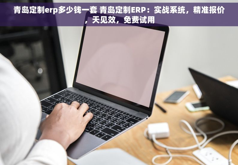 青岛定制erp多少钱一套 青岛定制ERP：实战系统，精准报价，天见效，免费试用