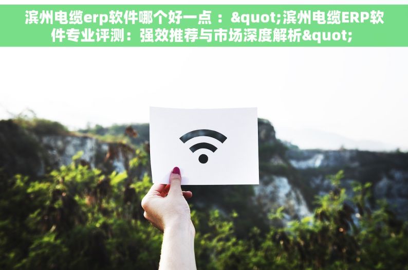 滨州电缆erp软件哪个好一点 ："滨州电缆ERP软件专业评测：强效推荐与市场深度解析" 