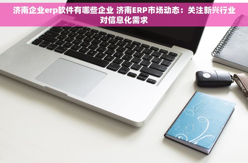 济南企业erp软件有哪些企业 济南ERP市场动态：关注新兴行业对信息化需求