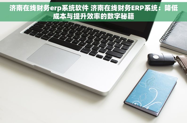 济南在线财务erp系统软件 济南在线财务ERP系统：降低成本与提升效率的数字秘籍