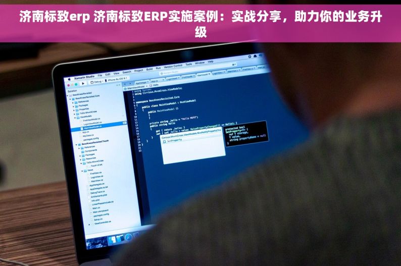 济南标致erp 济南标致ERP实施案例：实战分享，助力你的业务升级