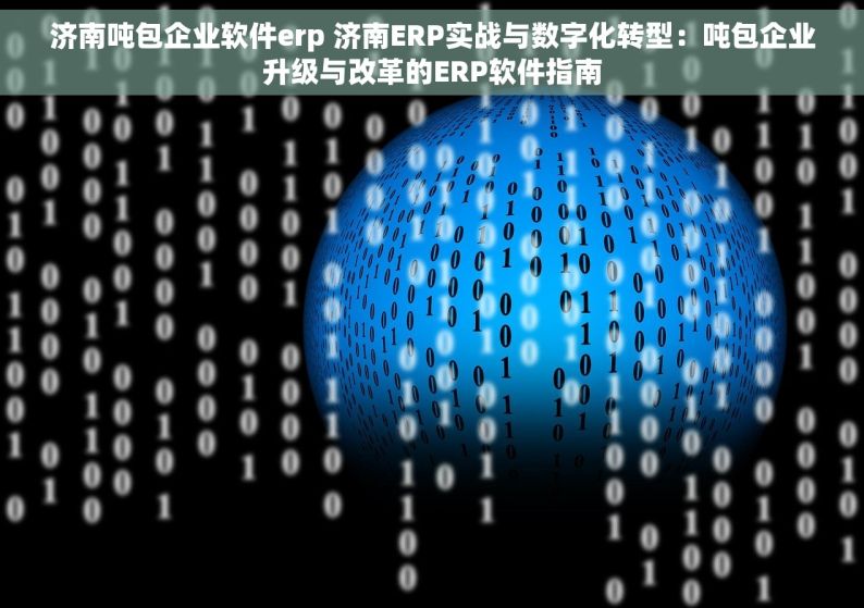 济南吨包企业软件erp 济南ERP实战与数字化转型：吨包企业升级与改革的ERP软件指南