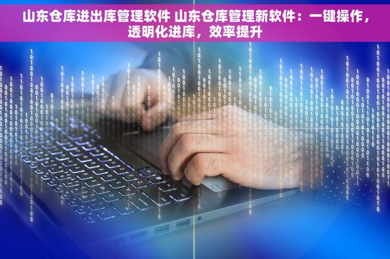 山东仓库进出库管理软件 山东仓库管理新软件：一键操作，透明化进库，效率提升