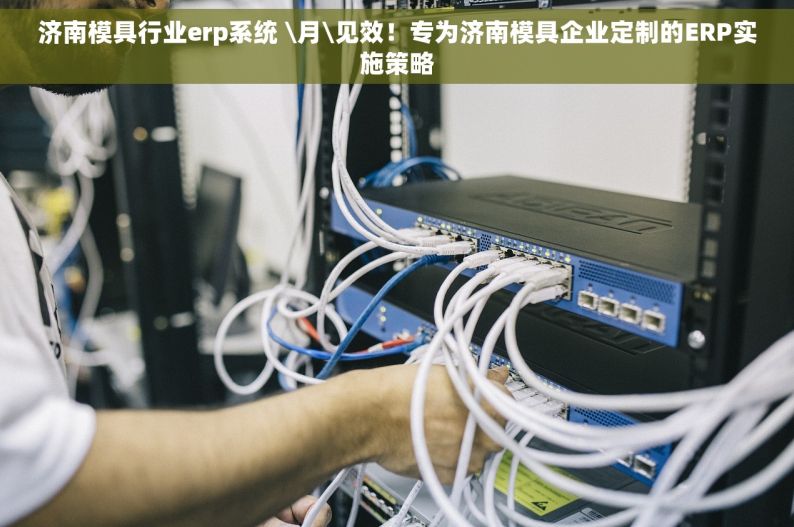 济南模具行业erp系统 \月\见效！专为济南模具企业定制的ERP实施策略