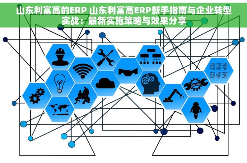 山东利富高的ERP 山东利富高ERP新手指南与企业转型实战：最新实施策略与效果分享