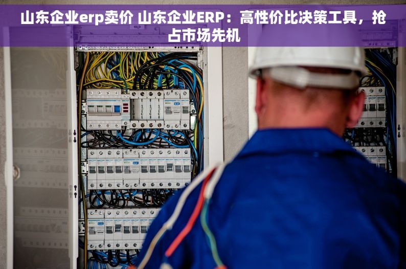 山东企业erp卖价 山东企业ERP：高性价比决策工具，抢占市场先机