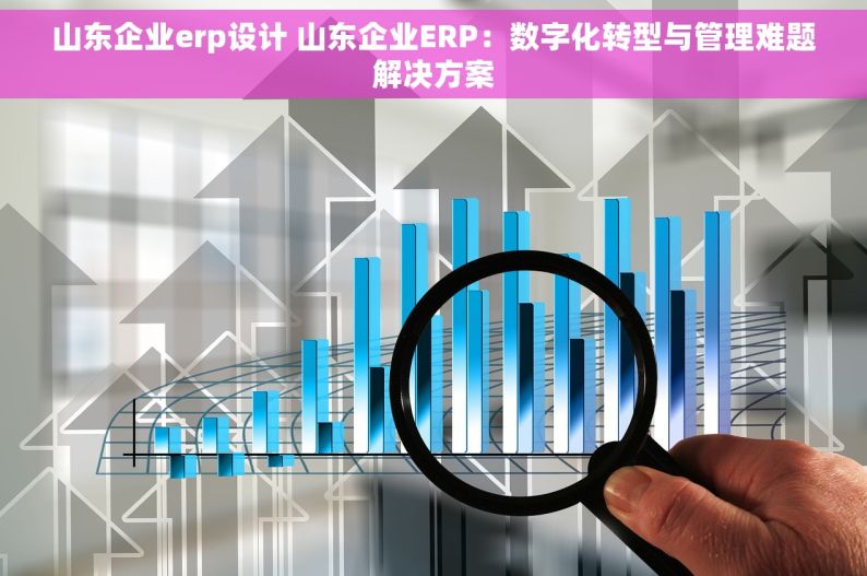 山东企业erp设计 山东企业ERP：数字化转型与管理难题解决方案