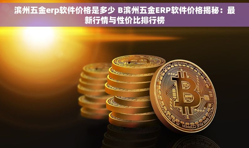 滨州五金erp软件价格是多少 B滨州五金ERP软件价格揭秘：最新行情与性价比排行榜