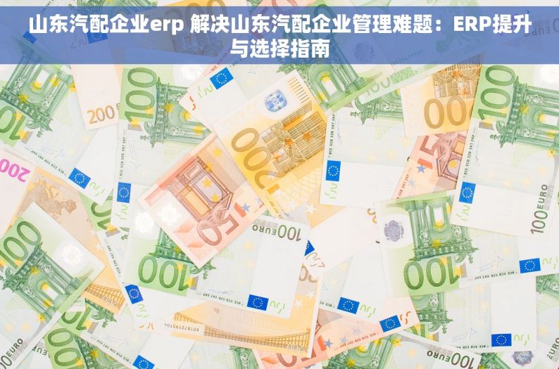 山东汽配企业erp 解决山东汽配企业管理难题：ERP提升与选择指南