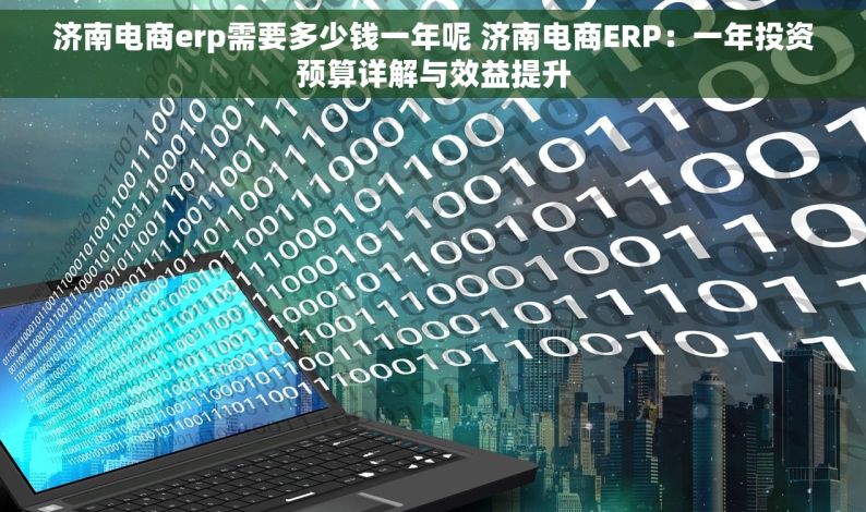 济南电商erp需要多少钱一年呢 济南电商ERP：一年投资预算详解与效益提升