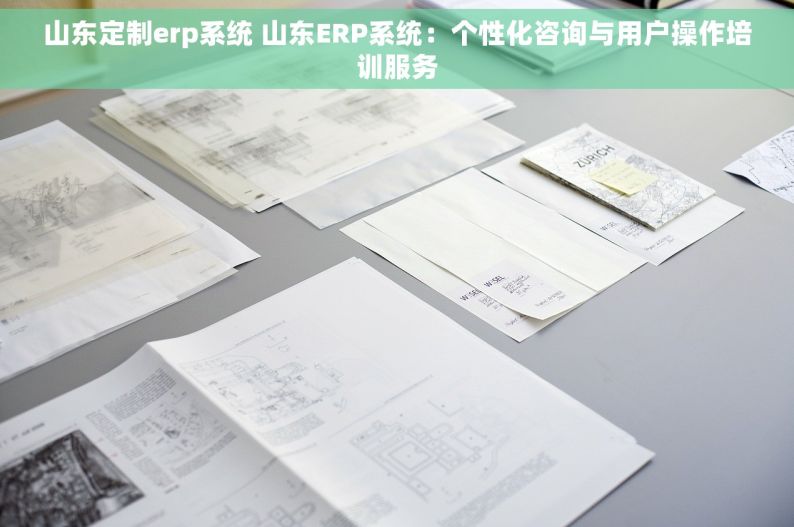 山东定制erp系统 山东ERP系统：个性化咨询与用户操作培训服务