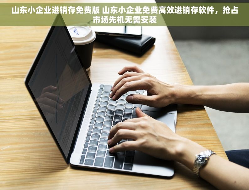 山东小企业进销存免费版 山东小企业免费高效进销存软件，抢占市场先机无需安装