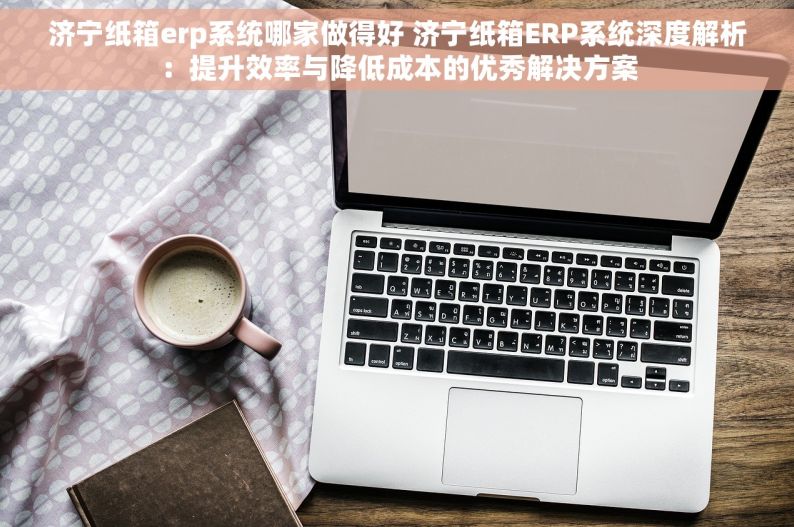 济宁纸箱erp系统哪家做得好 济宁纸箱ERP系统深度解析：提升效率与降低成本的优秀解决方案