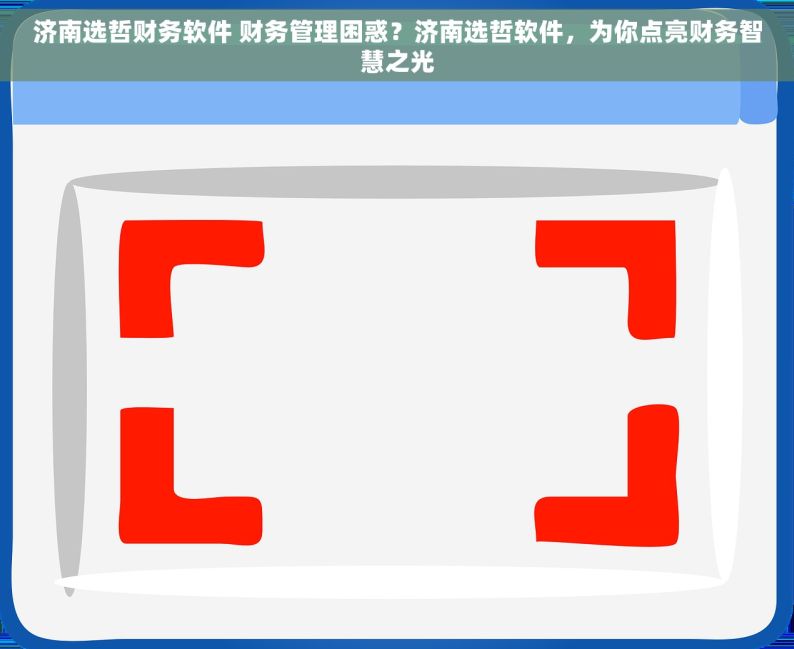 济南选哲财务软件 财务管理困惑？济南选哲软件，为你点亮财务智慧之光