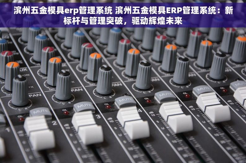 滨州五金模具erp管理系统 滨州五金模具ERP管理系统：新标杆与管理突破，驱动辉煌未来