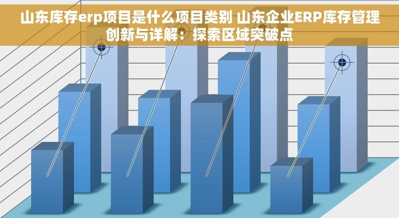 山东库存erp项目是什么项目类别 山东企业ERP库存管理创新与详解：探索区域突破点