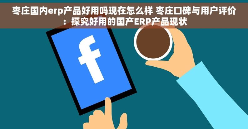 枣庄国内erp产品好用吗现在怎么样 枣庄口碑与用户评价：探究好用的国产ERP产品现状