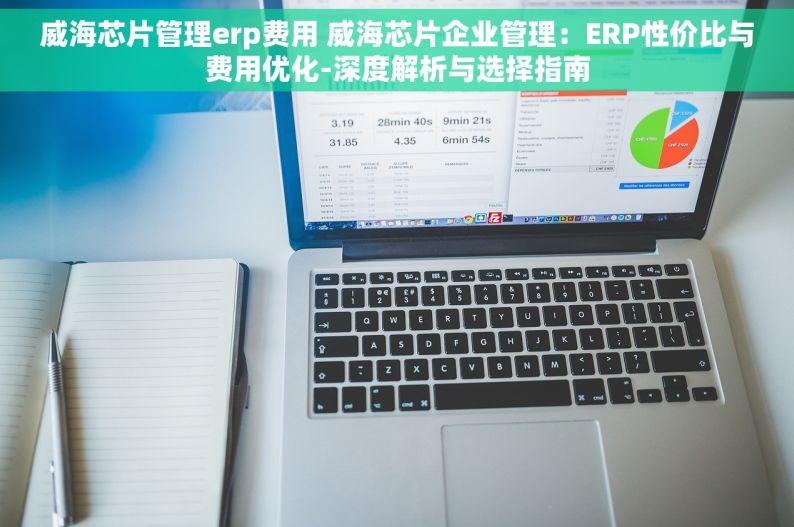 威海芯片管理erp费用 威海芯片企业管理：ERP性价比与费用优化-深度解析与选择指南