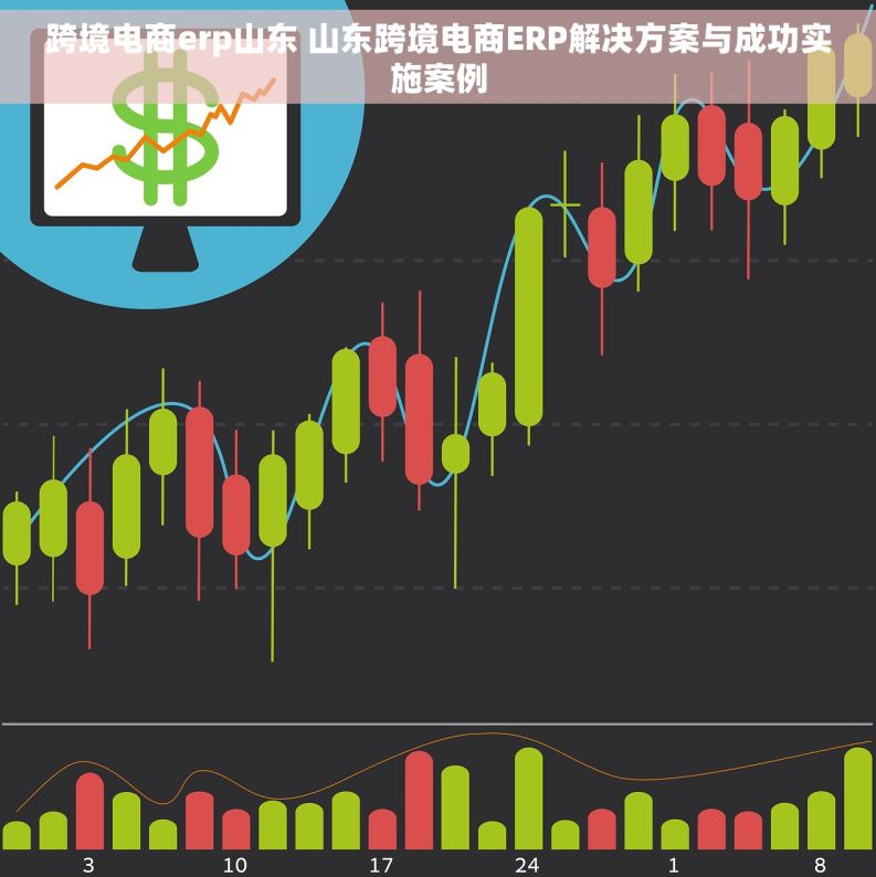 跨境电商erp山东 山东跨境电商ERP解决方案与成功实施案例