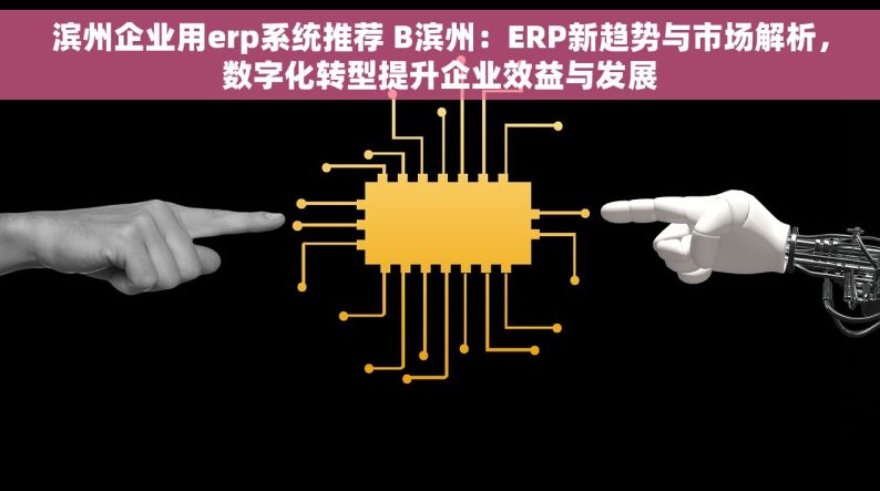 滨州企业用erp系统推荐 B滨州：ERP新趋势与市场解析，数字化转型提升企业效益与发展