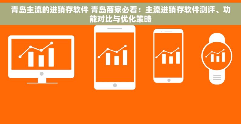 青岛主流的进销存软件 青岛商家必看：主流进销存软件测评、功能对比与优化策略