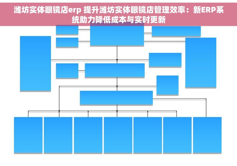 潍坊实体眼镜店erp 提升潍坊实体眼镜店管理效率：新ERP系统助力降低成本与实时更新