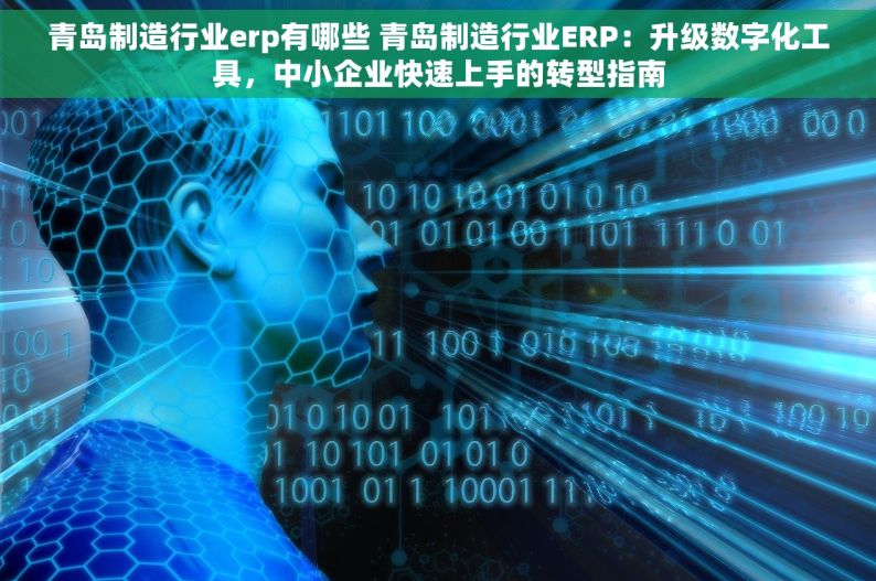 青岛制造行业erp有哪些 青岛制造行业ERP：升级数字化工具，中小企业快速上手的转型指南