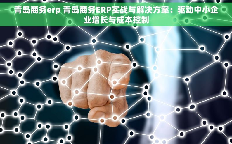 青岛商务erp 青岛商务ERP实战与解决方案：驱动中小企业增长与成本控制