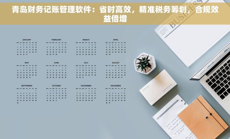 青岛财务记账管理软件：省时高效，精准税务筹划，合规效益倍增