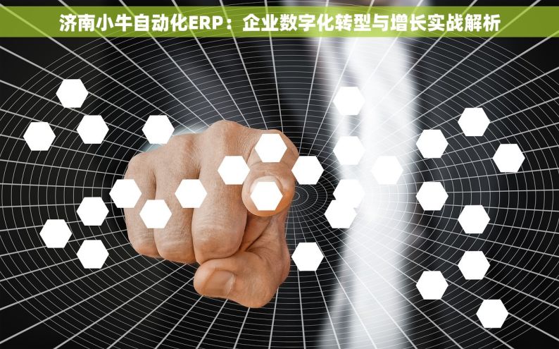 济南小牛自动化ERP：企业数字化转型与增长实战解析