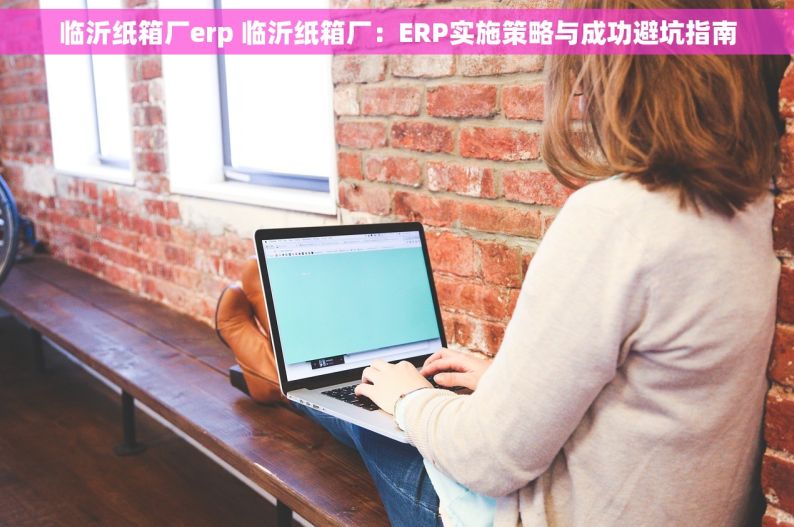 临沂纸箱厂erp 临沂纸箱厂：ERP实施策略与成功避坑指南