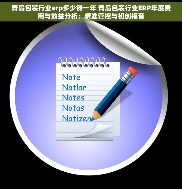 青岛包装行业erp多少钱一年 青岛包装行业ERP年度费用与效益分析：精准管控与初创福音