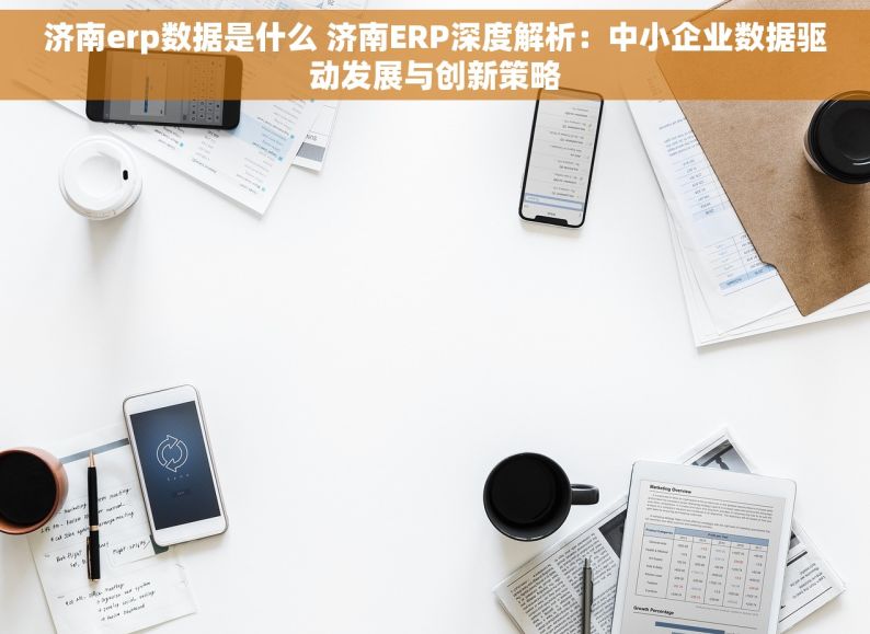 济南erp数据是什么 济南ERP深度解析：中小企业数据驱动发展与创新策略